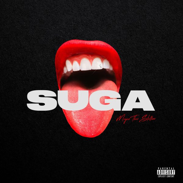 Megan Thee Stallion — Savage