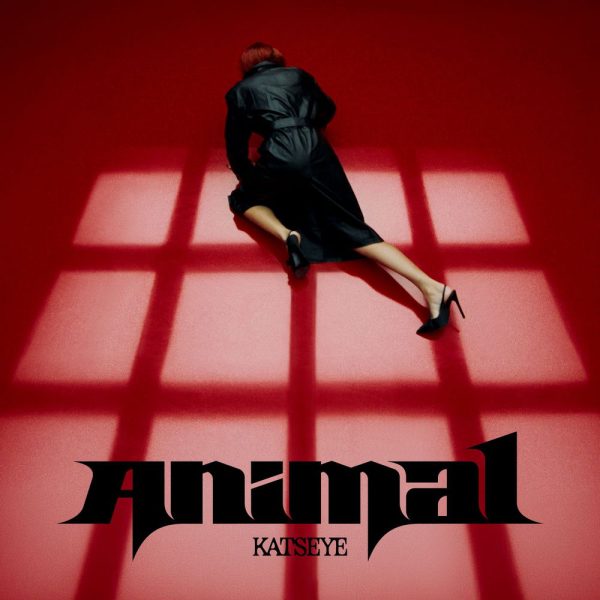 KATSEYE — Animal