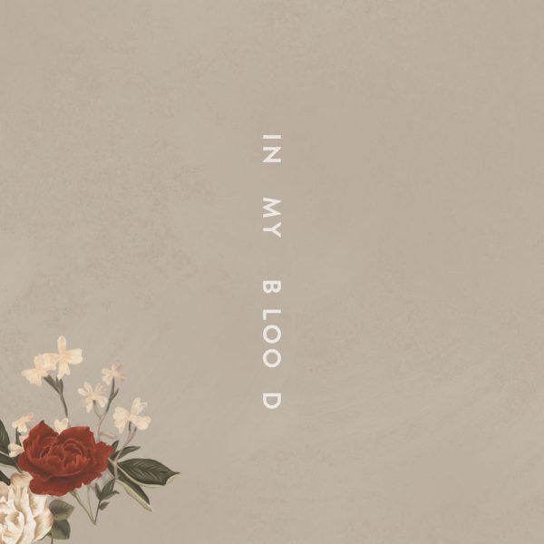 Shawn Mendes — In My Blood